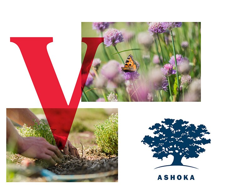 Vittel ashoka
