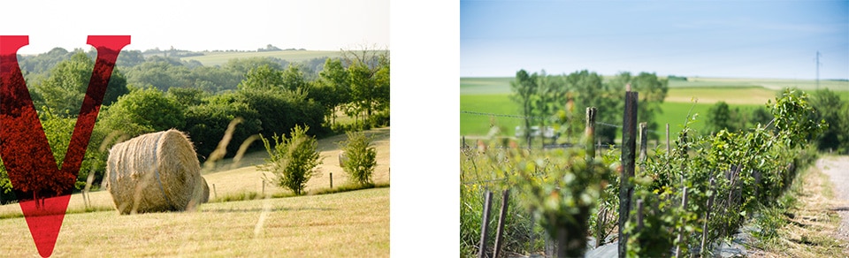 Vittel-agrivair-activities.jpg