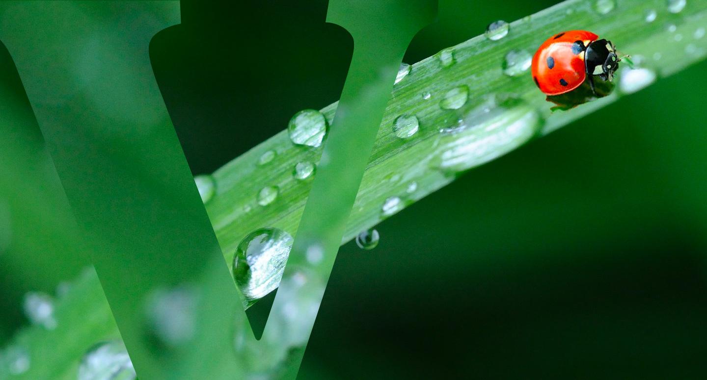 Vittel-biodiversity-header