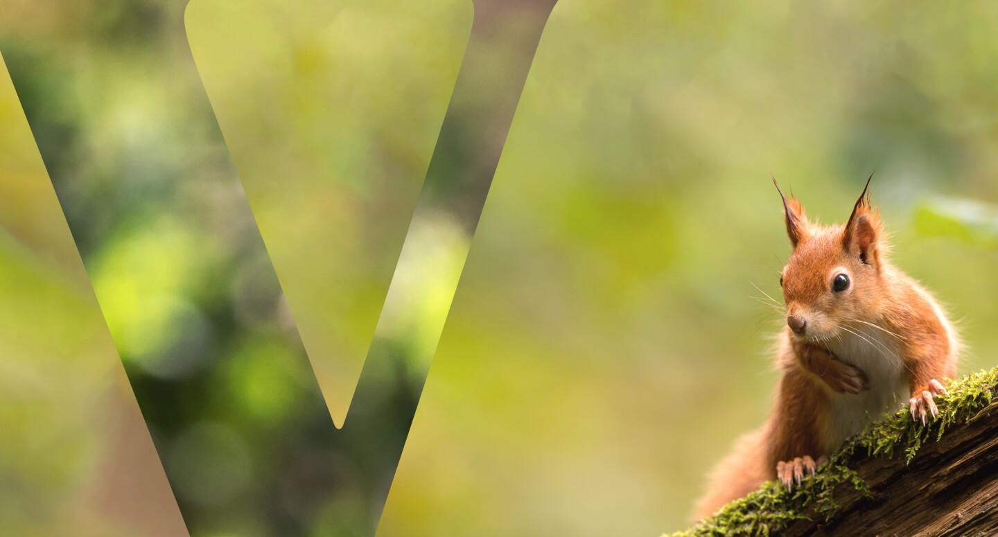 Ashoka Biodiversity header