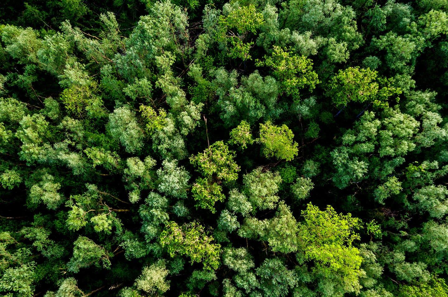 Vittel-reducing-energy-footprint