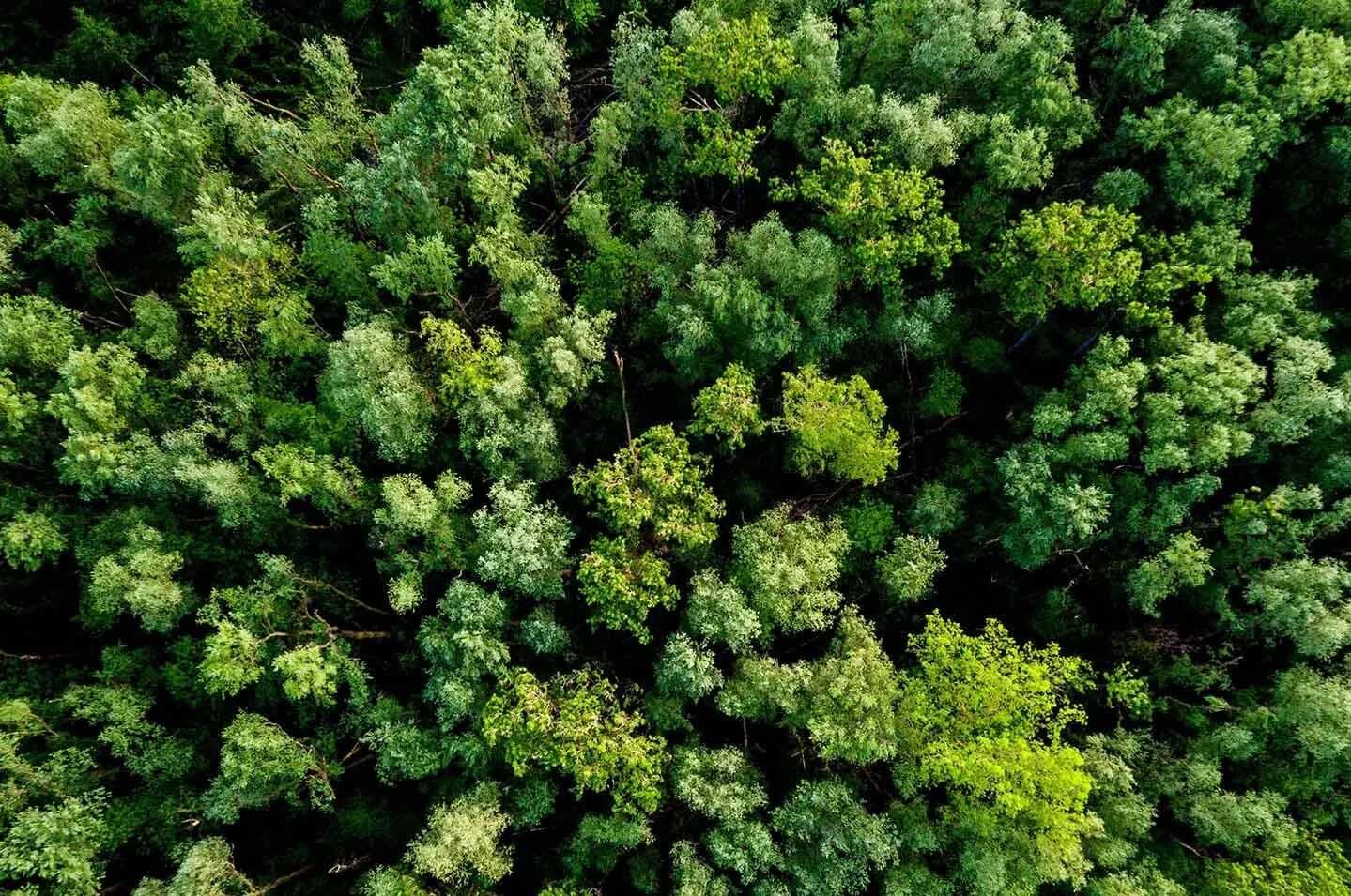 Vittel-reducing-energy-footprint