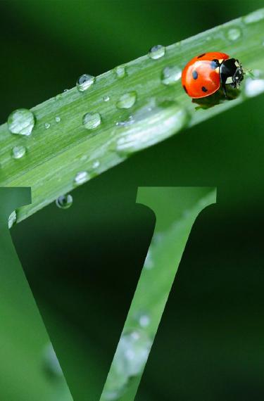 Vittel-biodiversity-header